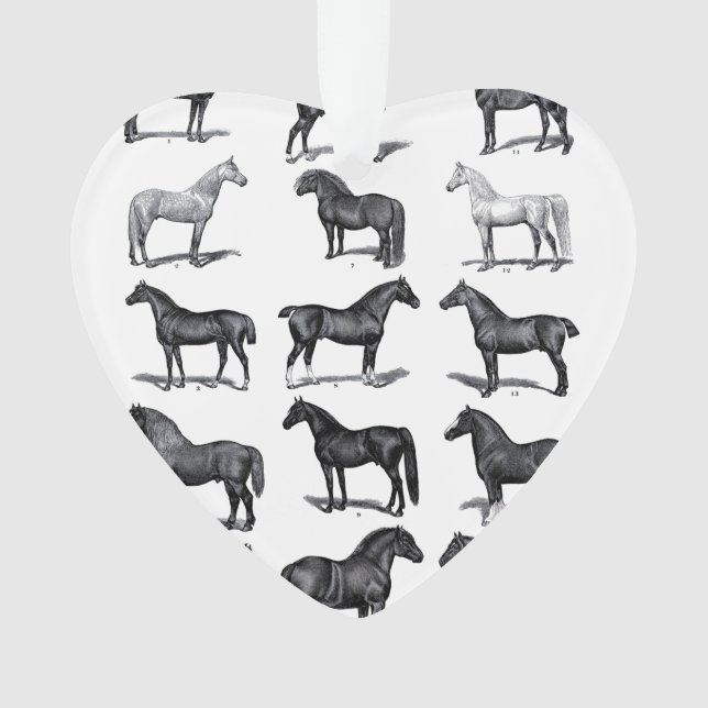 Ornamento de los amantes de los caballos (Anverso)