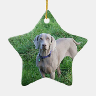 Ornamento de los amantes de Weimaraner