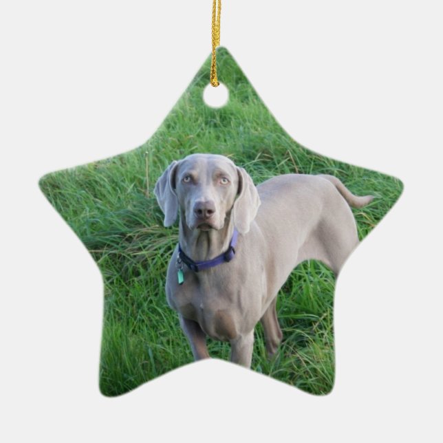 Ornamento de los amantes de Weimaraner (Frente)