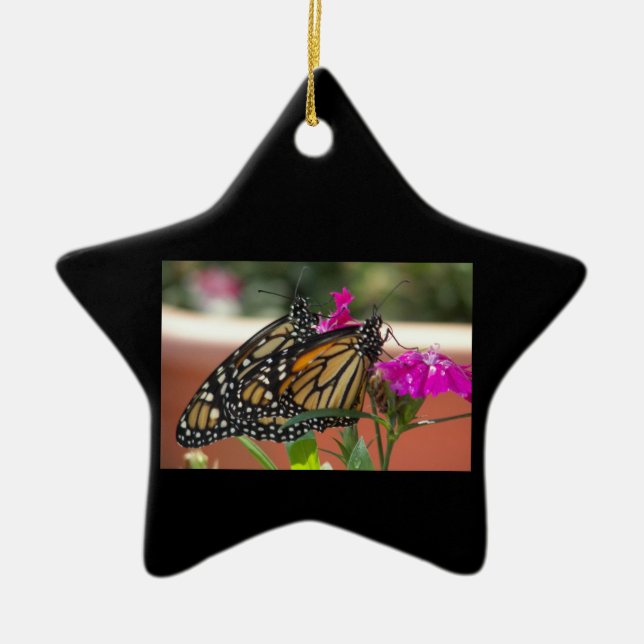 Ornamento de los Monarch Twins #1 estrella (Frente)
