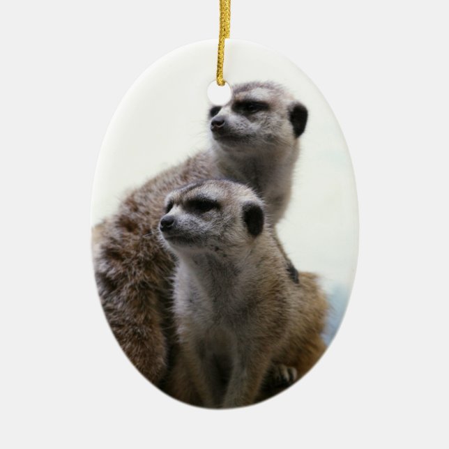 Ornamento de los pares de Meerkat (Frente)
