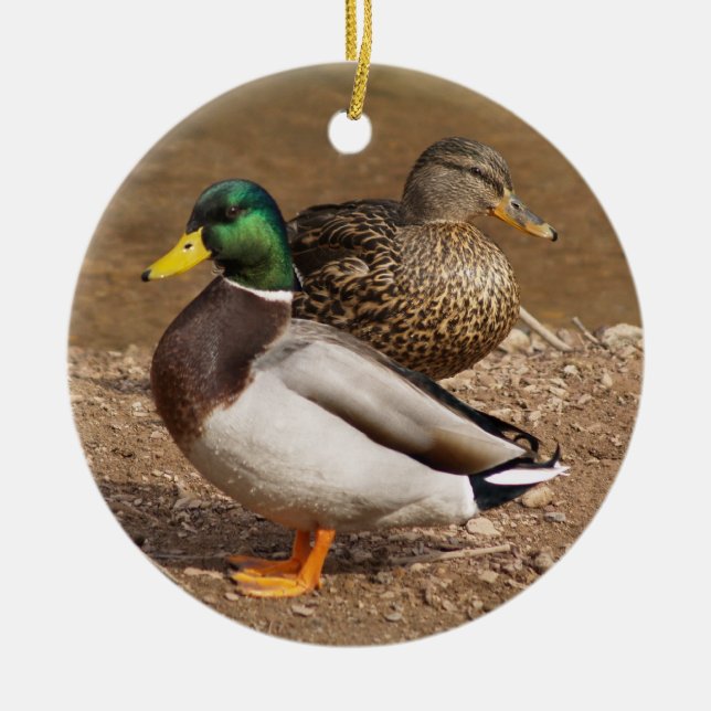 Ornamento de los patos mallard (Frente)