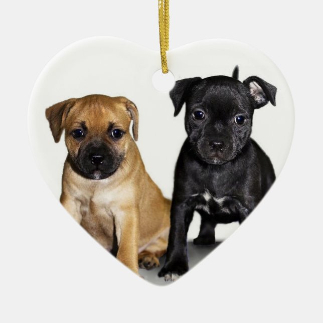 Ornamento de los perritos de Staffordshire bull (Frente)