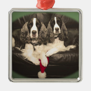 Ornamento de los perros de aguas de saltador