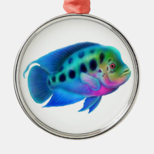 Ornamento de los pescados del acuario del Cichlid