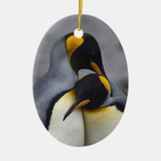 Ornamento de los Pingüinos del Rey en el amor (Frente)