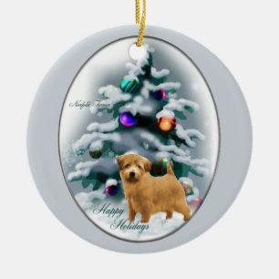 Ornamento de los regalos del navidad de Norfolk
