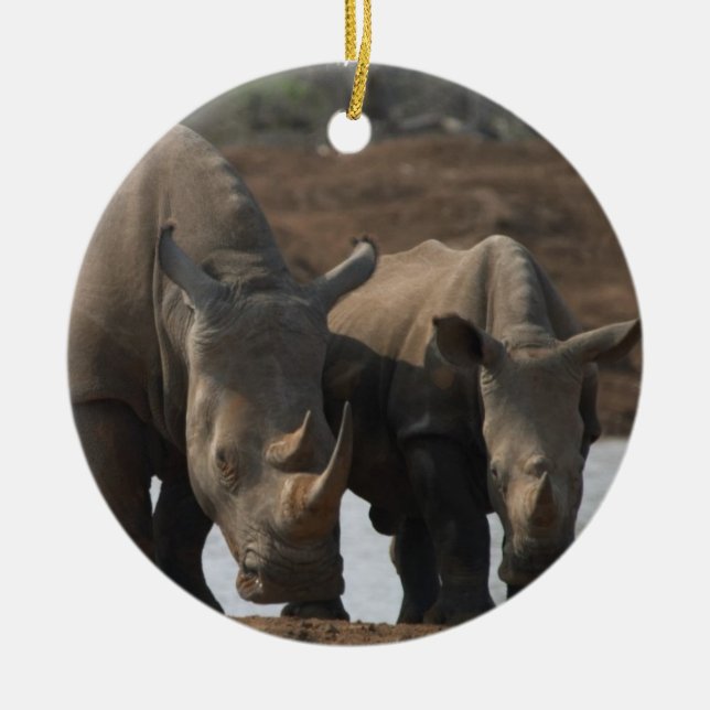 Ornamento de los Rhinos de Rlack (Frente)