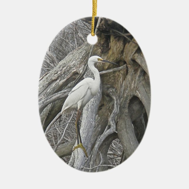 Ornamento de los saludos de la estación del Egret (Frente)