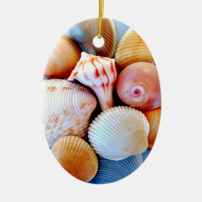 Ornamento de los Seashells (Frente)