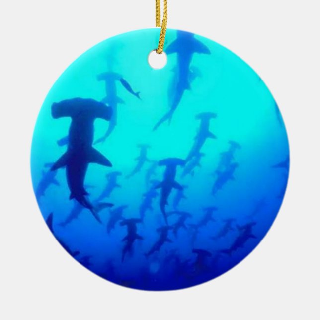 Ornamento de los tiburones de Hammerhead (Frente)