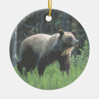 Ornamento de maderas del oso grizzly