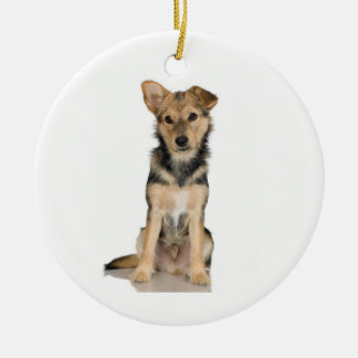 Ornamento de Malinois del belga