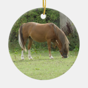 Ornamento de manchas de caballo marrón castaño