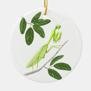 Ornamento de Mantis