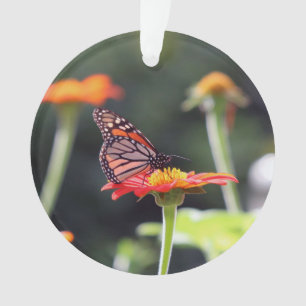 Ornamento de mariposa