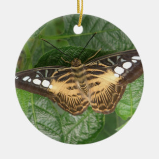 Ornamento de mariposa de Clipper Tropical bonito