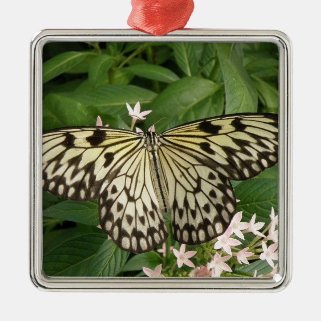 Ornamento de mariposa de cometa de papel (Frente)