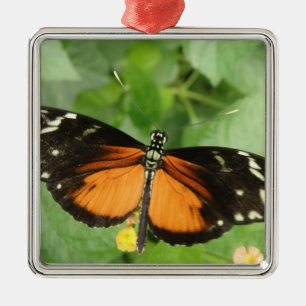 Ornamento de mariposa de larga duración del tigre