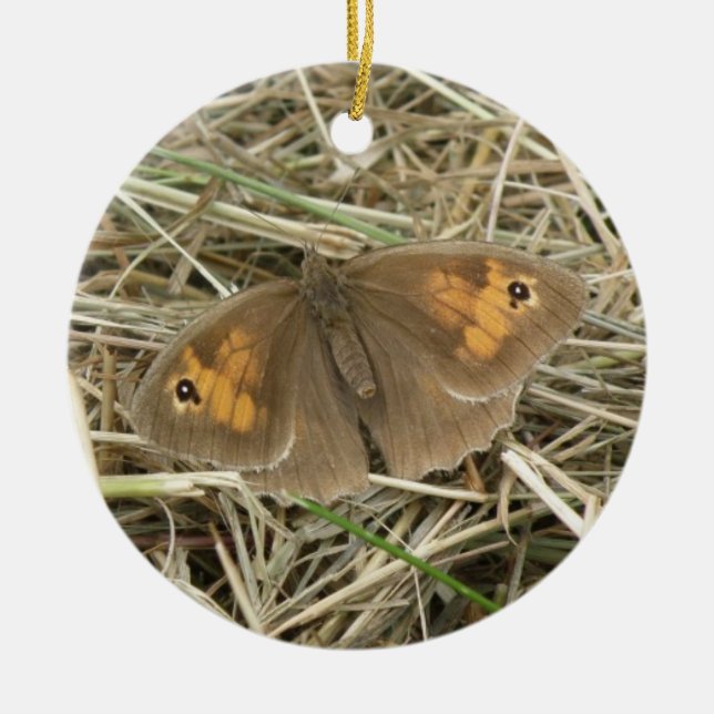 Ornamento de mariposa marrón de pradera femenina (Frente)