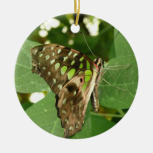 Ornamento de mariposa verde tropical irlandés