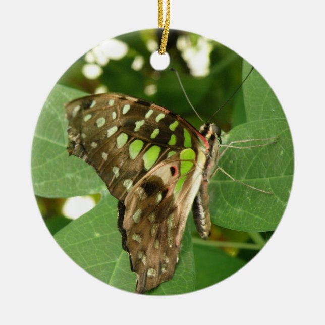 Ornamento de mariposa verde tropical irlandés (Frente)