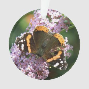 Ornamento de Mariposa y Buda del Almirante Rojo