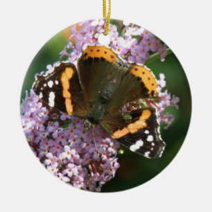 Ornamento de Mariposa y Buda del Almirante Rojo