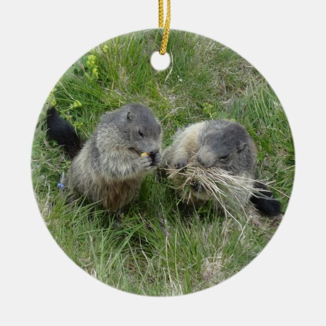 Ornamento de marmotas (Frente)
