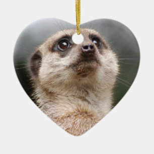 Ornamento de Meerkat