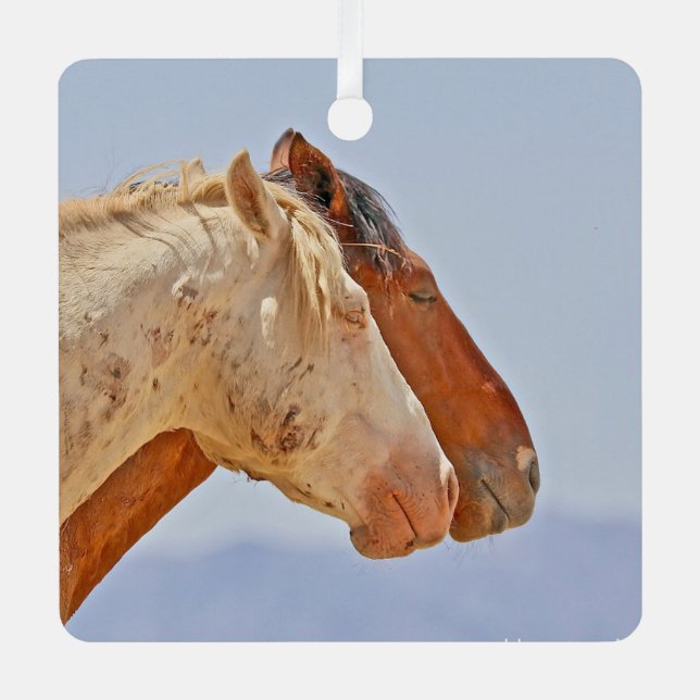 Ornamento de memoria salvaje (Anverso)