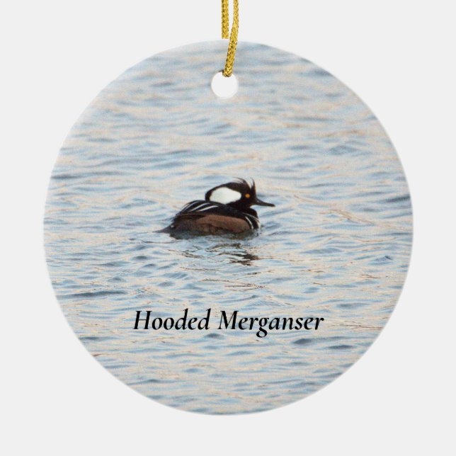 Ornamento de Merganser Hooded (Frente)