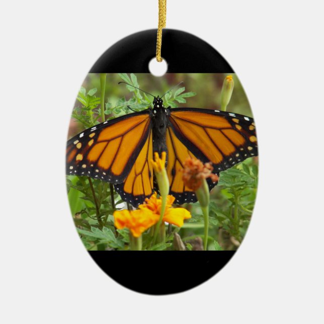 Ornamento de mi monarca mariposa-oval (Frente)