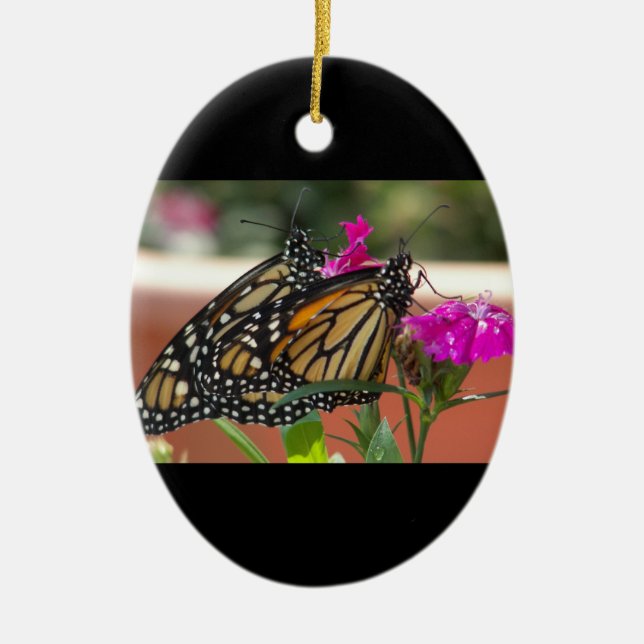Ornamento de monarcas #1-oval (Frente)