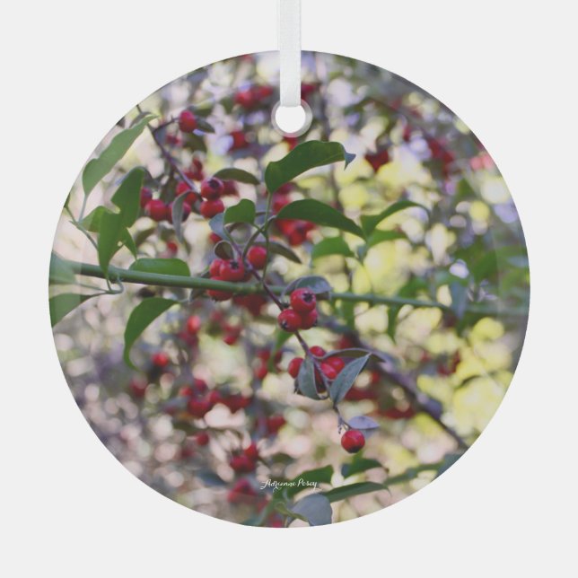 Ornamento de Navidad (Anverso)