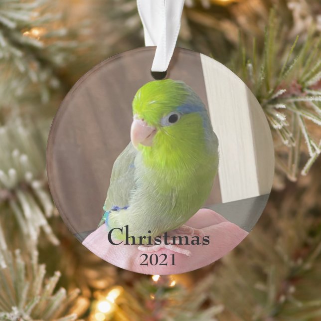 Ornamento de Navidad Acrílico para Bebé Fur (Árbol)