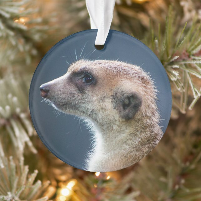 Ornamento de Navidad Circular Cute Meerkat (Árbol)