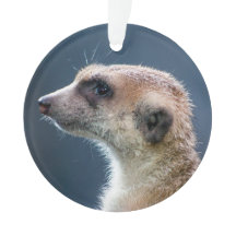 Ornamento de Navidad Circular Cute Meerkat