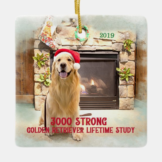 Ornamento de Navidad de 2019 - 3000 Fuerte (Anverso)