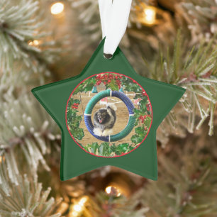 Ornamento de Navidad de Agility de Kees 2