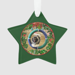 Ornamento de Navidad de Agility de Kees 2
