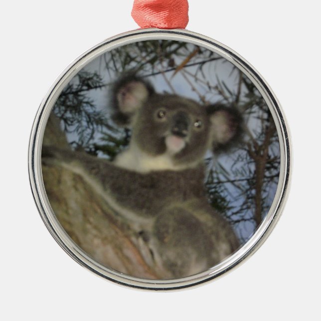 Ornamento de Navidad de Koala (Frente)