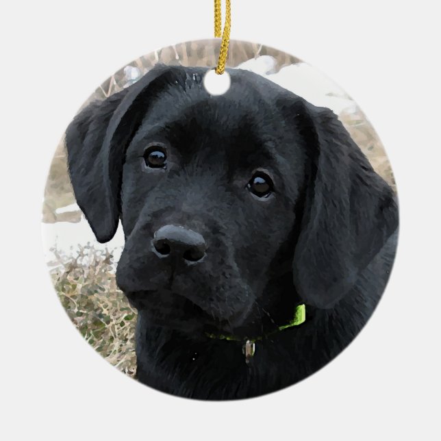 Ornamento de Navidad de Labrador Negro (Frente)
