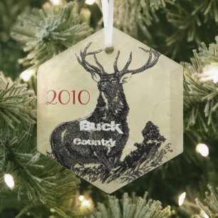 Ornamento de Navidad de Moose Country