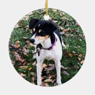 ORNAMENTO DE NAVIDAD DE PERRO DE RAT TERRIER