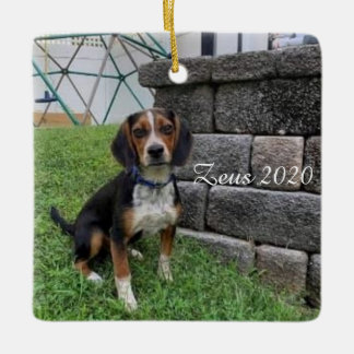 Ornamento de Navidad de Zeus 2020
