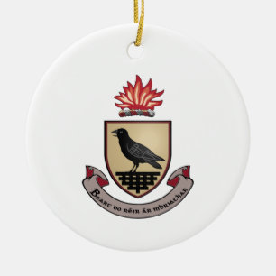 Ornamento de Navidad del Condado de Dublín Irlanda