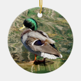 Ornamento de Navidad del Pato Mallard
