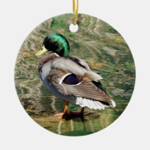 Ornamento de Navidad del Pato Mallard
