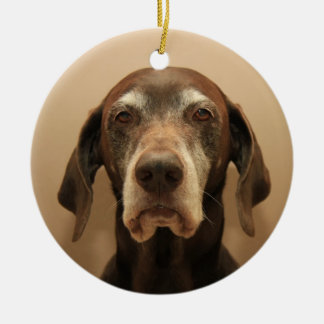 Ornamento de navidad del puntero del acordeón alem